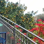 The Dolphins Guest House